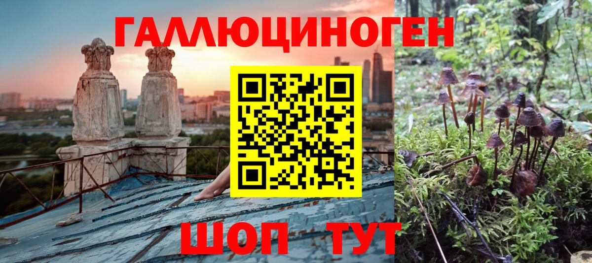 Аксай  Галлюциногенные грибы ЛСД  Вход с VPN  Псилоцибиновые грибы GOLDEN TEACHER 