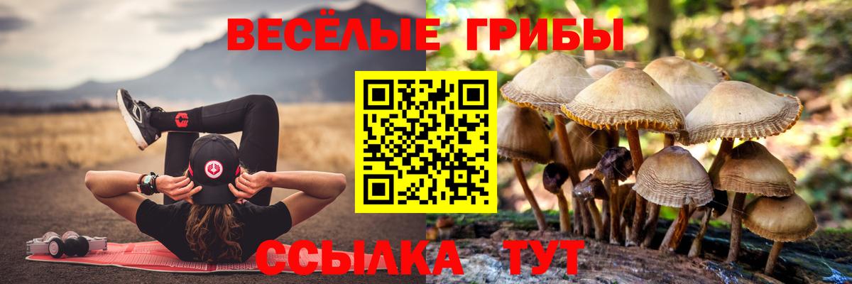 Псилоцибиновые грибы мухоморы Аксай